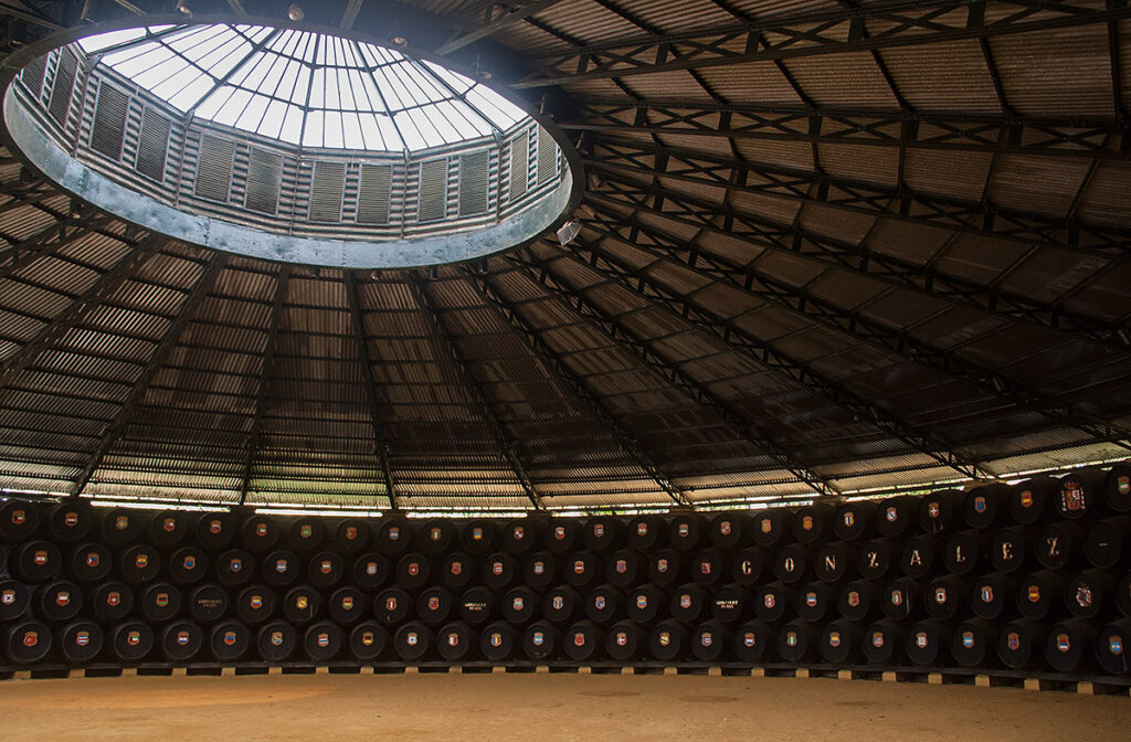 Cata de vinos de Jerez en Jerez de la Frontera - Tour en Tip Pepe / Gonzalez Byass