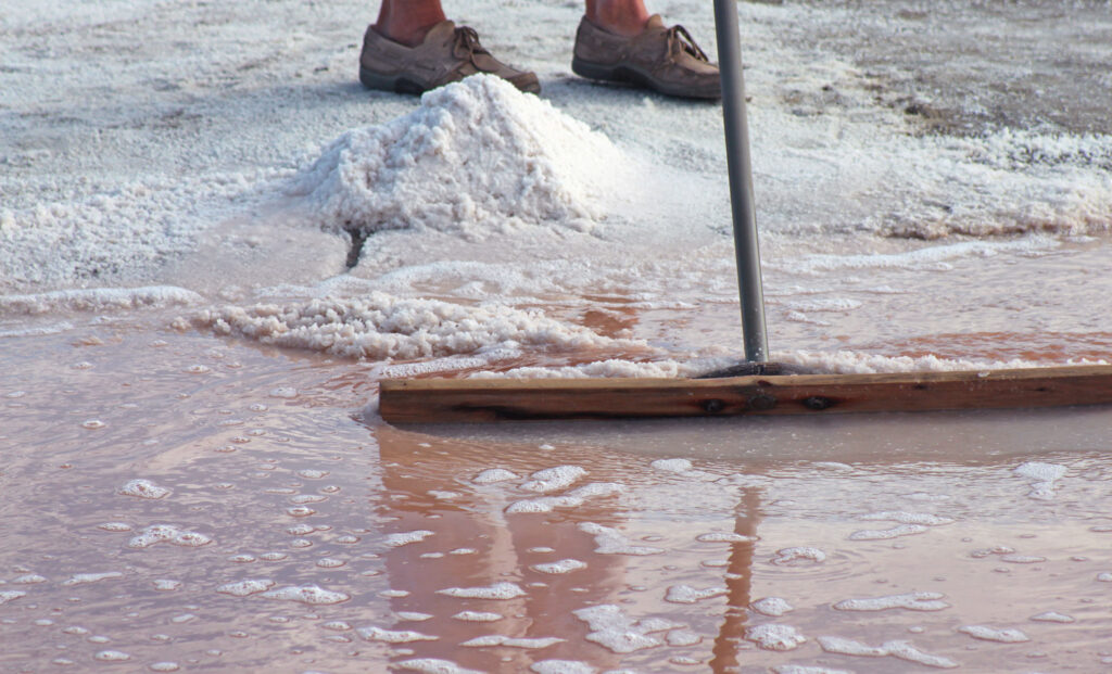 Ses Salines in Mallorca - Photo: Biarn