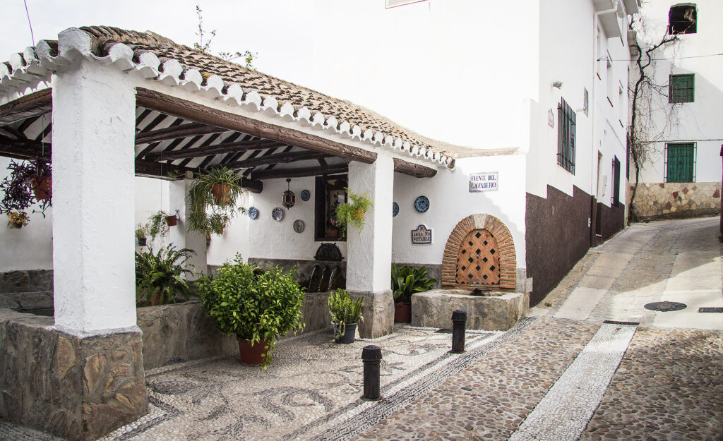 Luxurious countryside in the Andalusian lemon groves