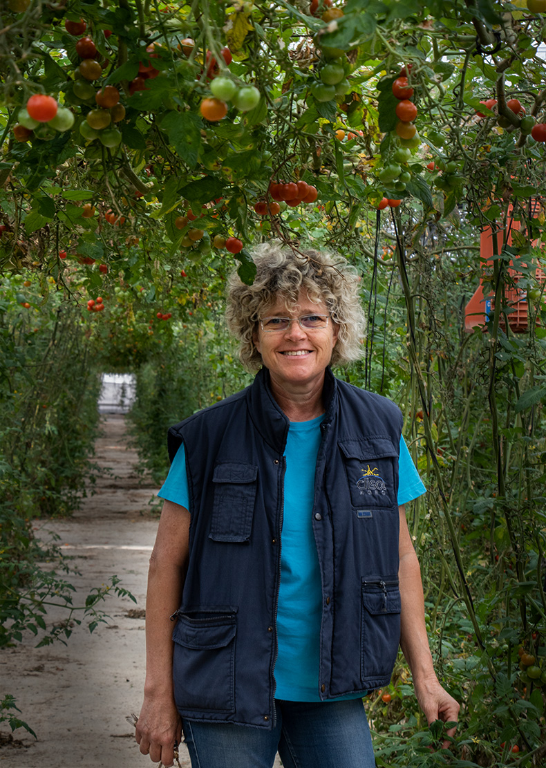 Lola de Clisol en Mar de Plástico.