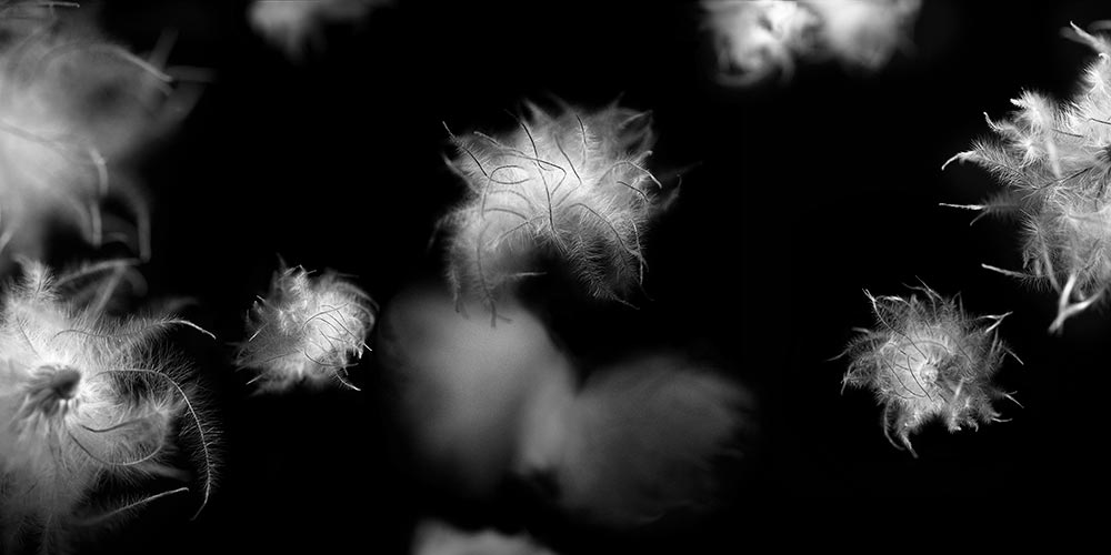 Tid i en stilstand. Foto: Laura M. Lombardía.