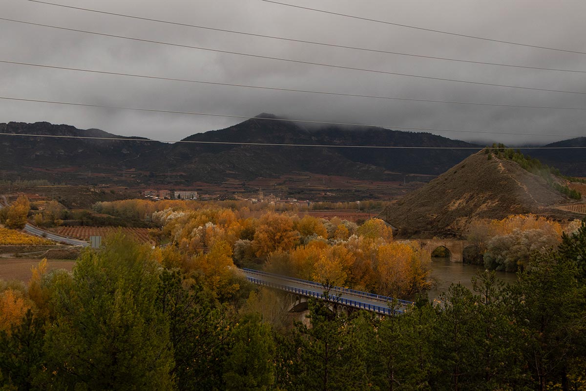You get stunning views of the vineyards from Bodegas Roda in the town of Haro in La Rioja