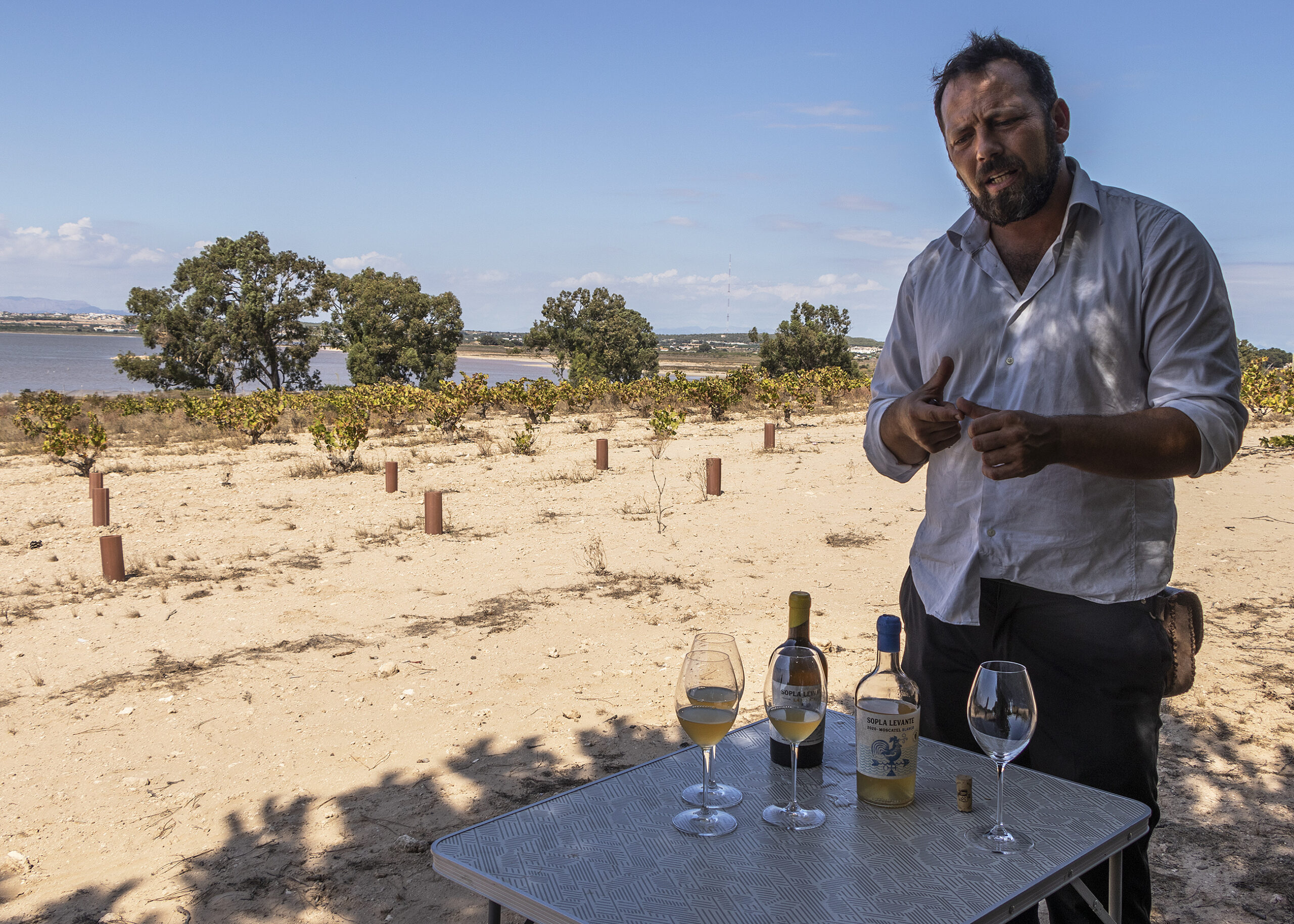 The wine of Torrevieja tastes of the salt that hits the vines and comes from the city's pink salt lake