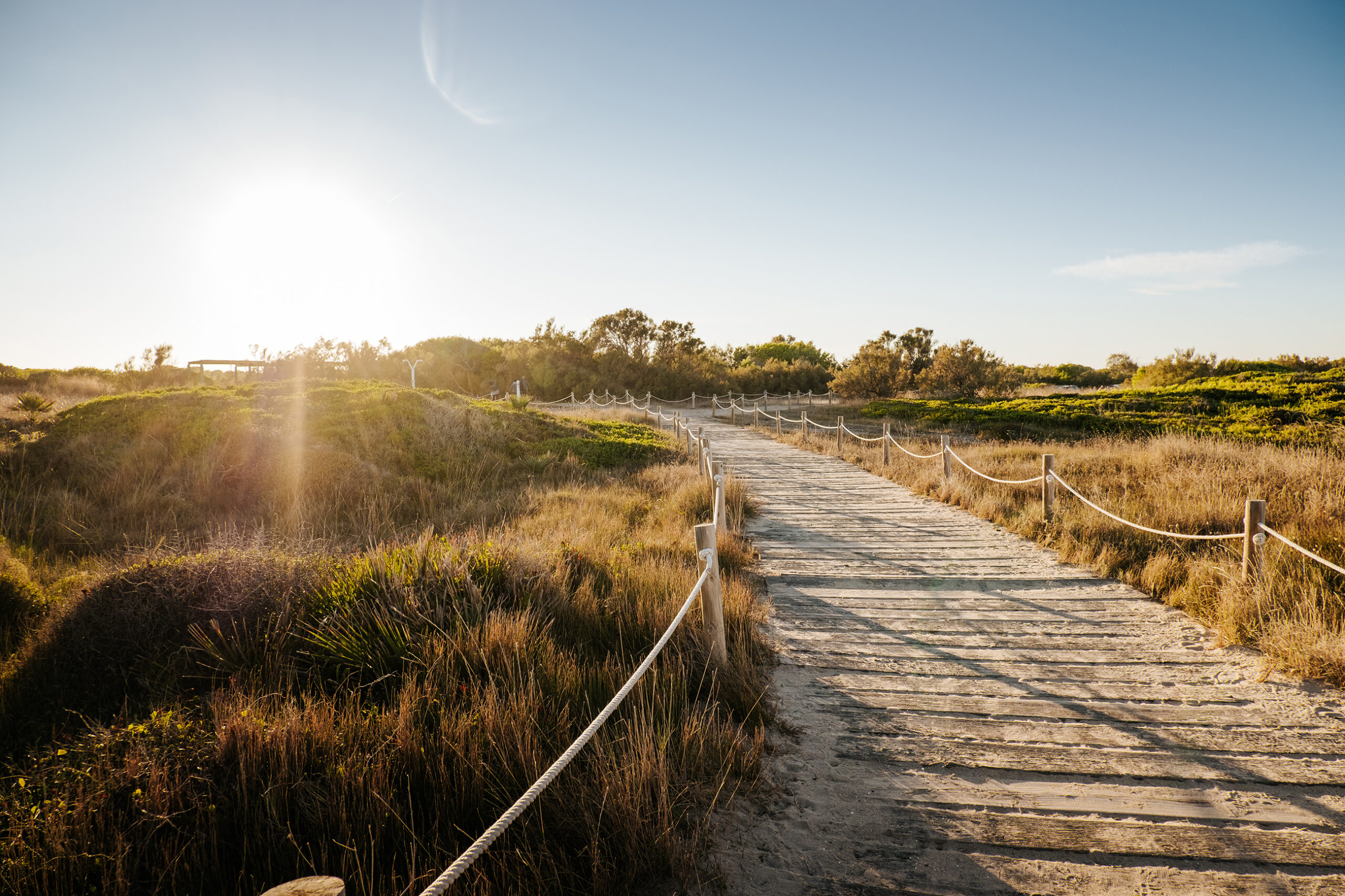 Naturstranden El Saler i Valencia. Foto: David Rota