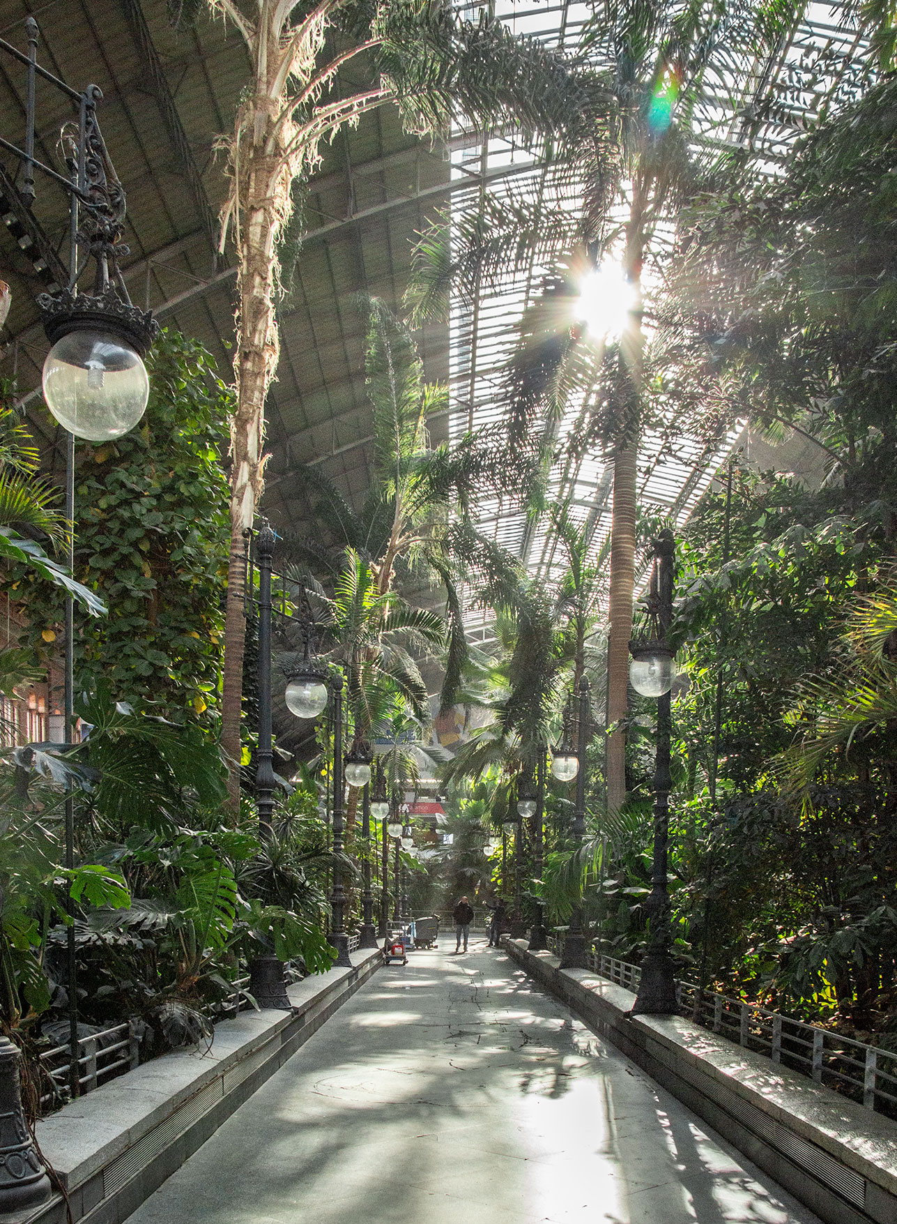 Atocha Station in Madrid is an alternative and surprising attraction in Madrid with a lush botanical garden.