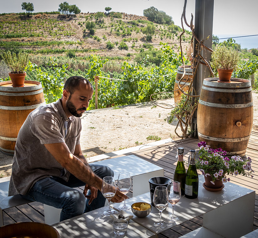 Cata de vinos en Alta Allea, cerca de Barcelona