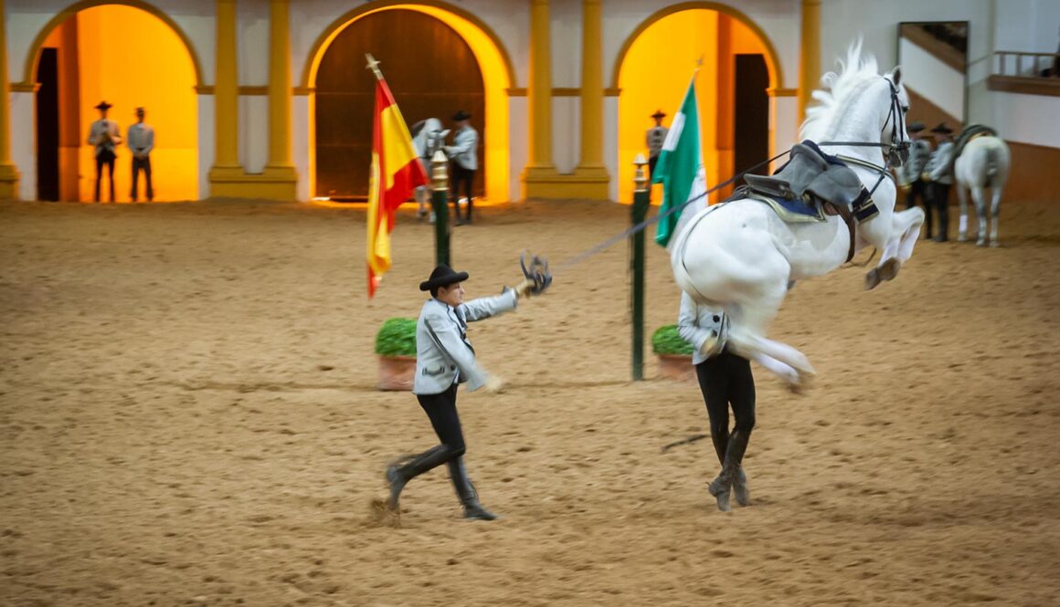 Hesteshow i Jerez de la Frontera: Oplev de andalusiske heste danse