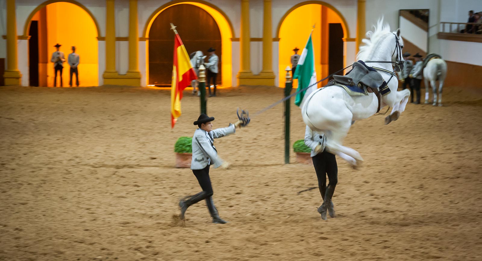 Horse show in Jerez de la Frontera: See the Andalusian horses dance
