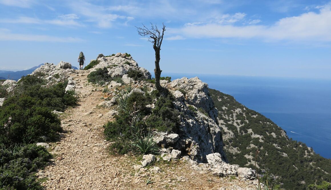 Vandretur i Mallorcas Tramuntana-bjerge