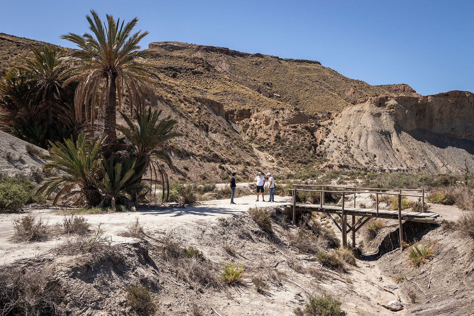 Oasis de Lawrence de Arabia en Tabernas Almiera