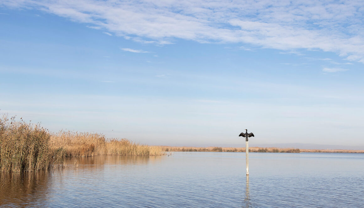 9 bæredygtige oplevelser i Valencia