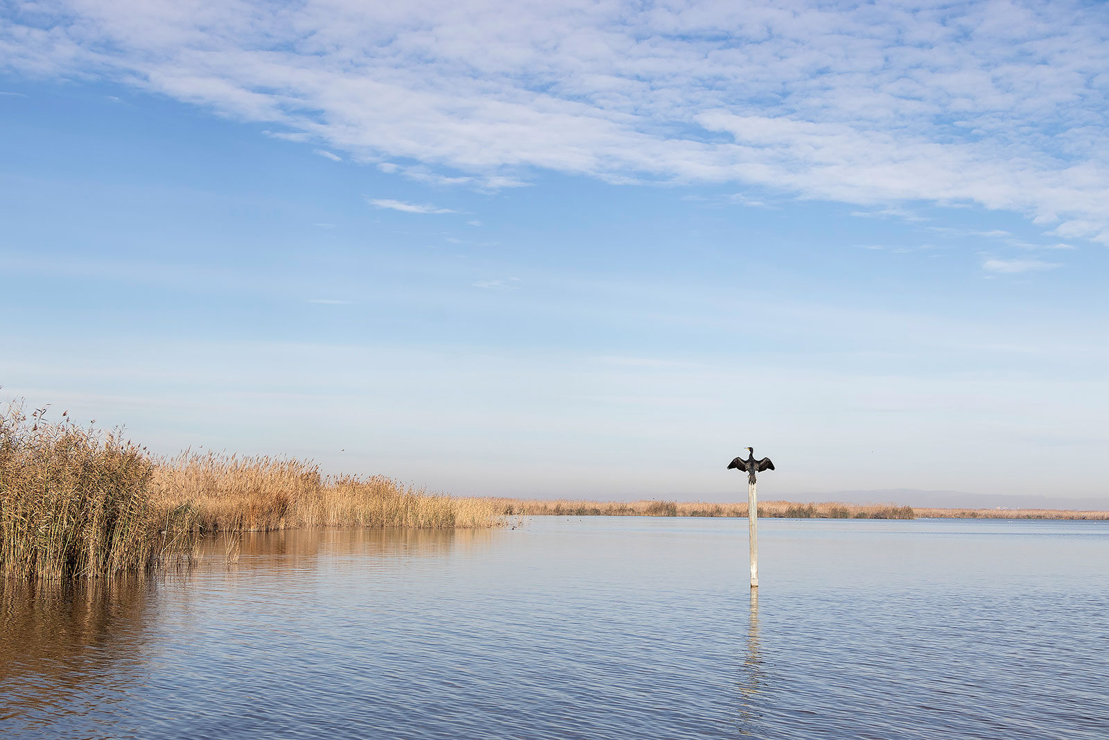 9 bæredygtige oplevelser i Valencia